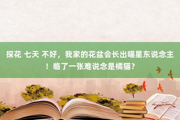 探花 七天 不好，我家的花盆会长出喵星东说念主！临了一张难说念是橘猫？