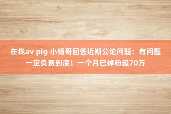 在线av pig 小杨哥回答近期公论问题：有问题一定负责到底！一个月已掉粉超70万