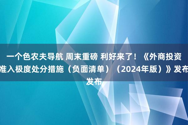 一个色农夫导航 周末重磅 利好来了！《外商投资准入极度处分措施（负面清单）（2024年版）》发布