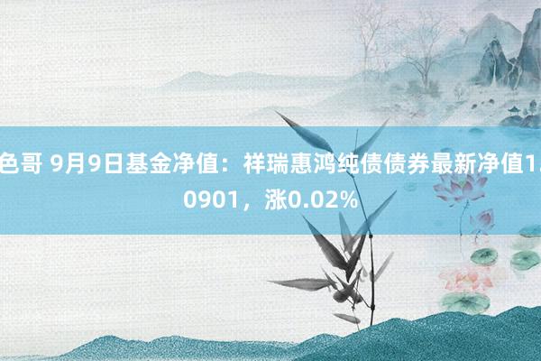 色哥 9月9日基金净值：祥瑞惠鸿纯债债券最新净值1.0901，涨0.02%