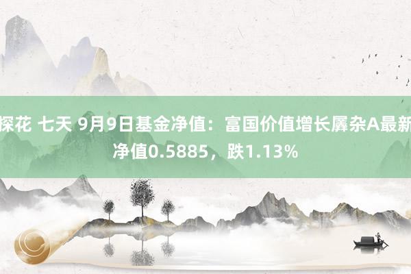 探花 七天 9月9日基金净值：富国价值增长羼杂A最新净值0.5885，跌1.13%