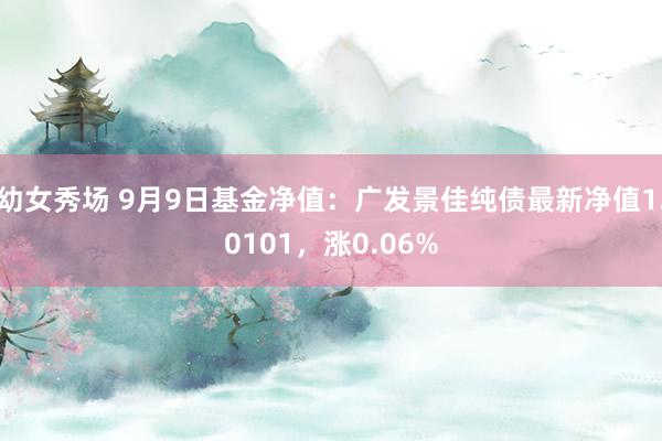 幼女秀场 9月9日基金净值：广发景佳纯债最新净值1.0101，涨0.06%