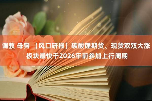 调教 母狗 【风口研报】碳酸锂期货、现货双双大涨 板块最快于2026年前参加上行周期