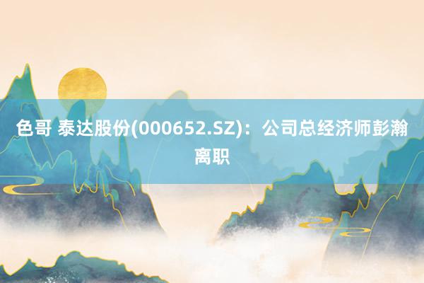 色哥 泰达股份(000652.SZ)：公司总经济师彭瀚离职