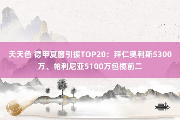 天天色 德甲夏窗引援TOP20：拜仁奥利斯5300万、帕利尼亚5100万包揽前二