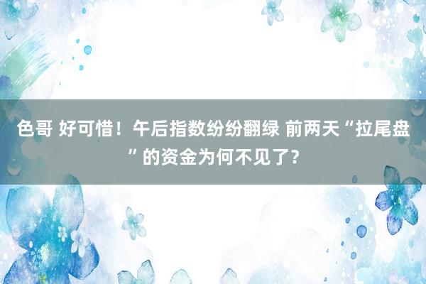 色哥 好可惜！午后指数纷纷翻绿 前两天“拉尾盘”的资金为何不见了？