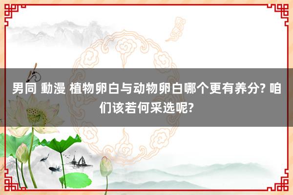 男同 動漫 植物卵白与动物卵白哪个更有养分? 咱们该若何采选呢?