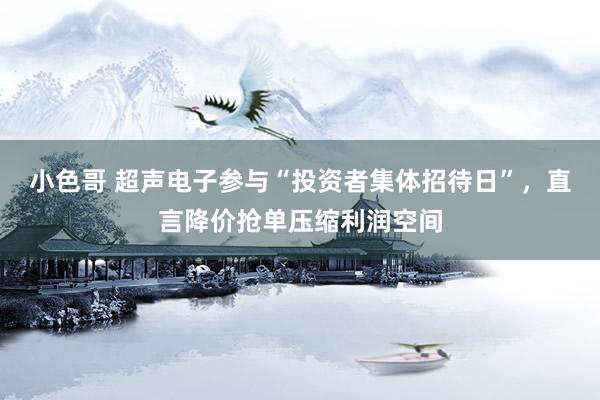 小色哥 超声电子参与“投资者集体招待日”，直言降价抢单压缩利润空间