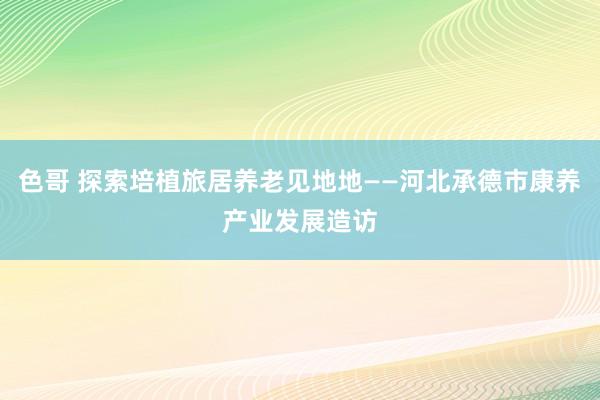 色哥 探索培植旅居养老见地地——河北承德市康养产业发展造访