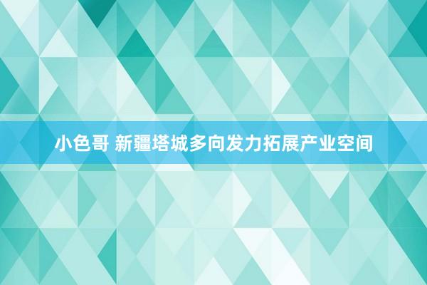 小色哥 新疆塔城多向发力拓展产业空间