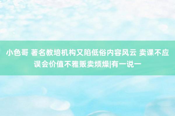 小色哥 著名教培机构又陷低俗内容风云 卖课不应误会价值不雅贩卖烦燥|有一说一