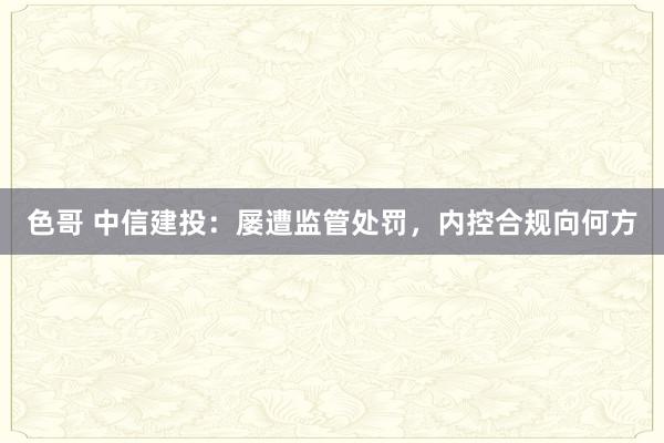 色哥 中信建投：屡遭监管处罚，内控合规向何方