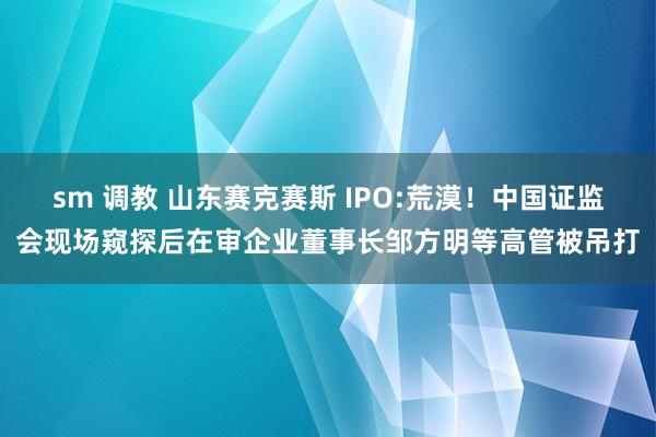 sm 调教 山东赛克赛斯 IPO:荒漠！中国证监会现场窥探后在审企业董事长邹方明等高管被吊打