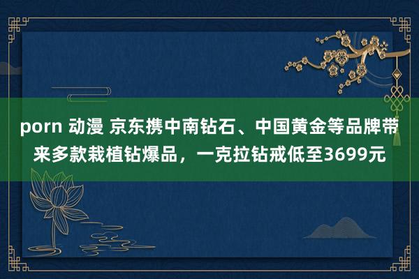 porn 动漫 京东携中南钻石、中国黄金等品牌带来多款栽植钻爆品，一克拉钻戒低至3699元