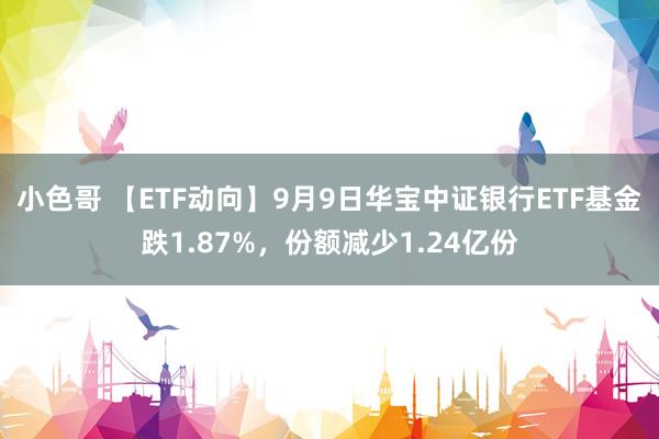 小色哥 【ETF动向】9月9日华宝中证银行ETF基金跌1.87%，份额减少1.24亿份