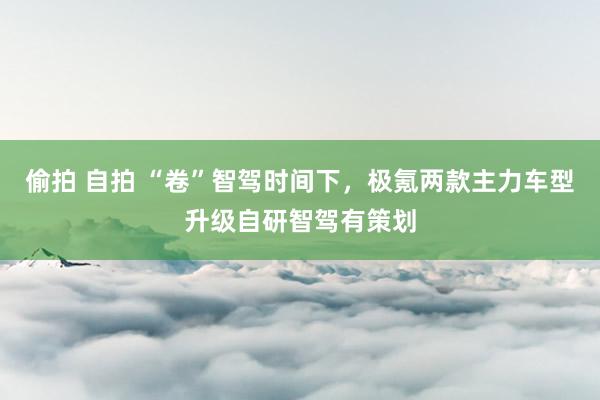 偷拍 自拍 “卷”智驾时间下，极氪两款主力车型升级自研智驾有策划