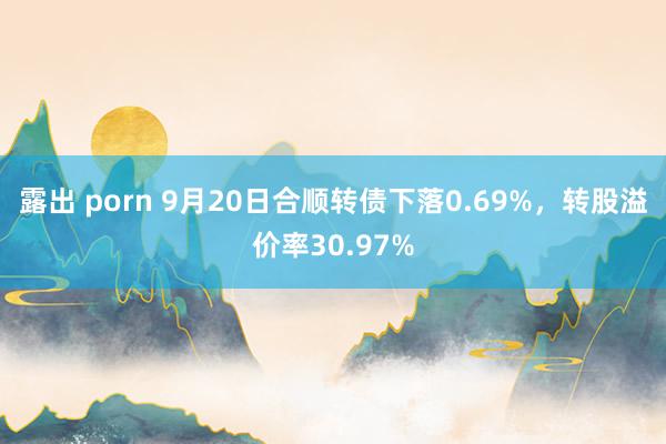 露出 porn 9月20日合顺转债下落0.69%，转股溢价率30.97%