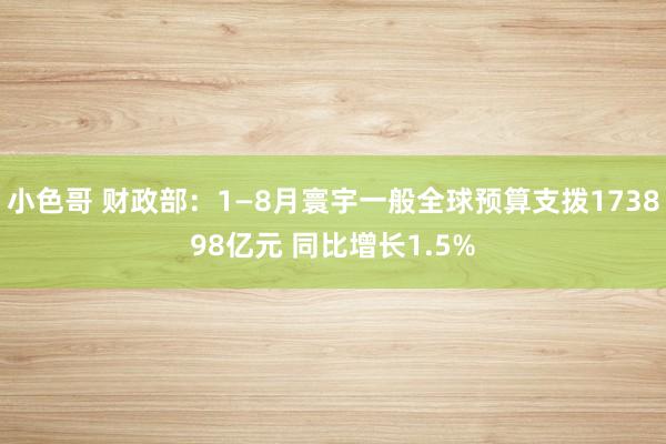 小色哥 财政部：1—8月寰宇一般全球预算支拨173898亿元 同比增长1.5%