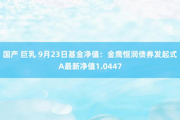 国产 巨乳 9月23日基金净值：金鹰恒润债券发起式A最新净值1.0447