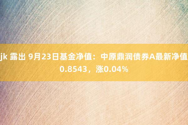 jk 露出 9月23日基金净值：中原鼎润债券A最新净值0.8543，涨0.04%