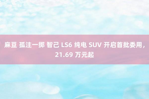 麻豆 孤注一掷 智己 LS6 纯电 SUV 开启首批委用，21.69 万元起