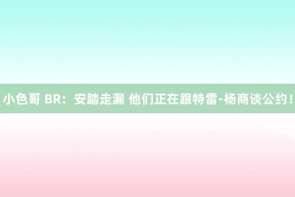 小色哥 BR：安踏走漏 他们正在跟特雷-杨商谈公约！