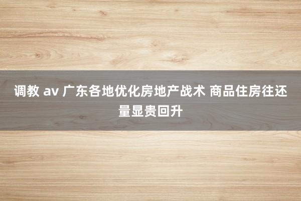 调教 av 广东各地优化房地产战术 商品住房往还量显贵回升