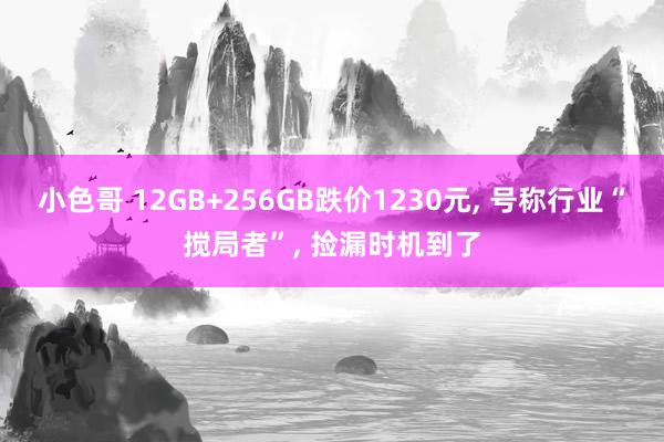 小色哥 12GB+256GB跌价1230元， 号称行业“搅局者”， 捡漏时机到了