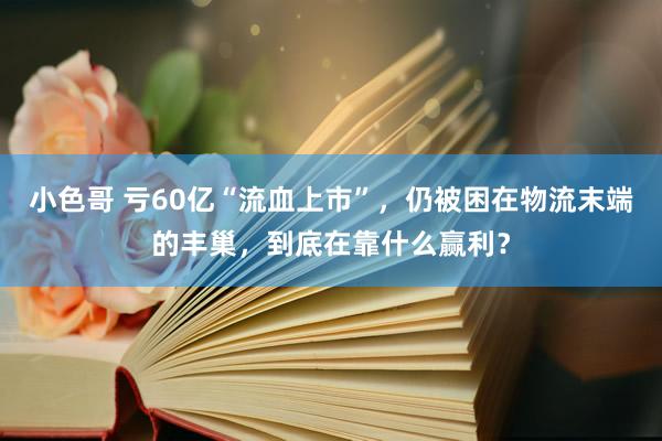 小色哥 亏60亿“流血上市”，仍被困在物流末端的丰巢，到底在靠什么赢利？