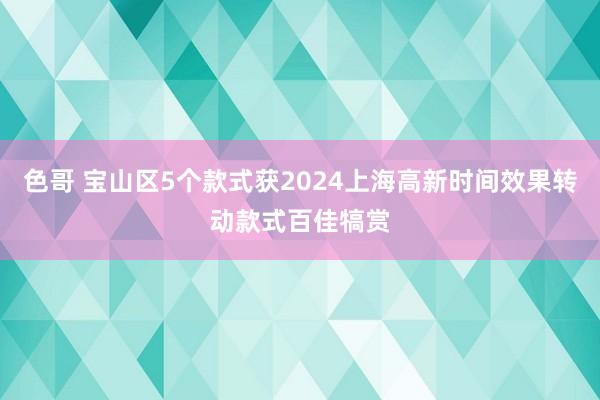 色哥 宝山区5个款式获2024上海高新时间效果转动款式百佳犒赏