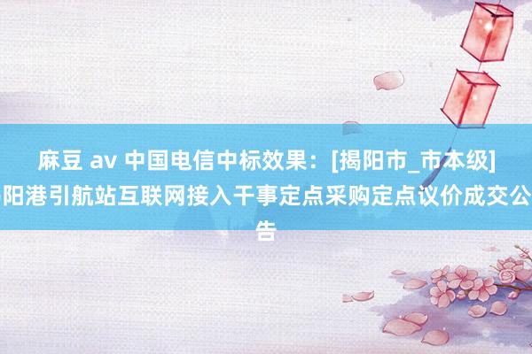 麻豆 av 中国电信中标效果：[揭阳市_市本级]揭阳港引航站互联网接入干事定点采购定点议价成交公告