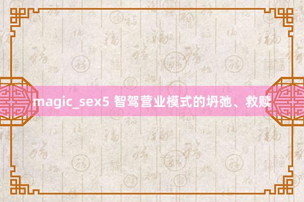 magic_sex5 智驾营业模式的坍弛、救赎