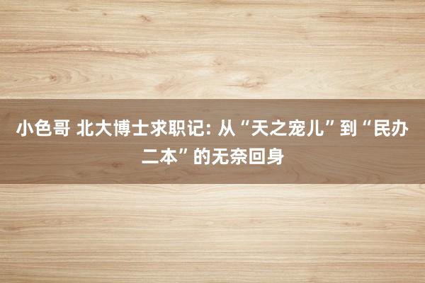 小色哥 北大博士求职记: 从“天之宠儿”到“民办二本”的无奈回身