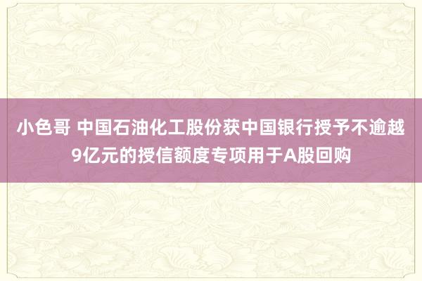 小色哥 中国石油化工股份获中国银行授予不逾越9亿元的授信额度专项用于A股回购