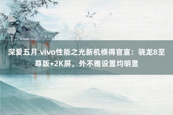 深爱五月 vivo性能之光新机倏得官宣：骁龙8至尊版+2K屏，外不雅设置均明显