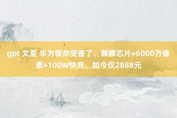 gpt 文爱 华为骤然变香了，麒麟芯片+6000万像素+100W快充，如今仅2888元