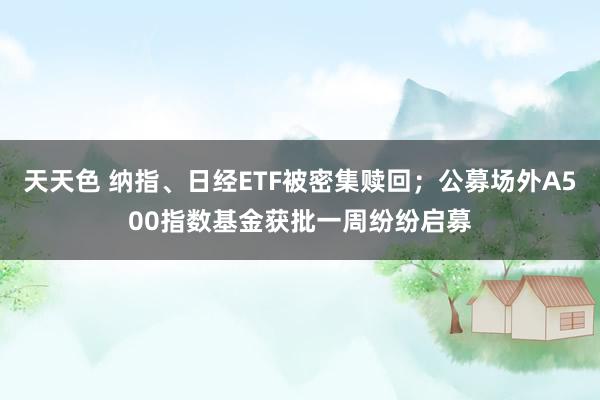 天天色 纳指、日经ETF被密集赎回；公募场外A500指数基金获批一周纷纷启募