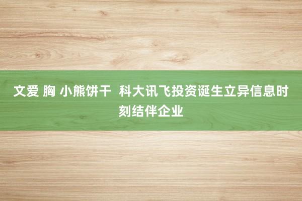 文爱 胸 小熊饼干  科大讯飞投资诞生立异信息时刻结伴企业