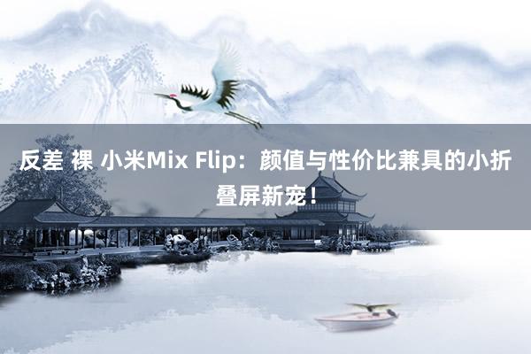 反差 裸 小米Mix Flip：颜值与性价比兼具的小折叠屏新宠！