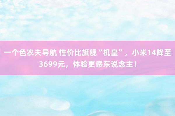 一个色农夫导航 性价比旗舰“机皇”，小米14降至3699元，体验更感东说念主！