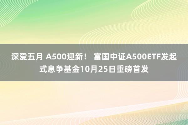 深爱五月 A500迎新！ 富国中证A500ETF发起式息争基金10月25日重磅首发