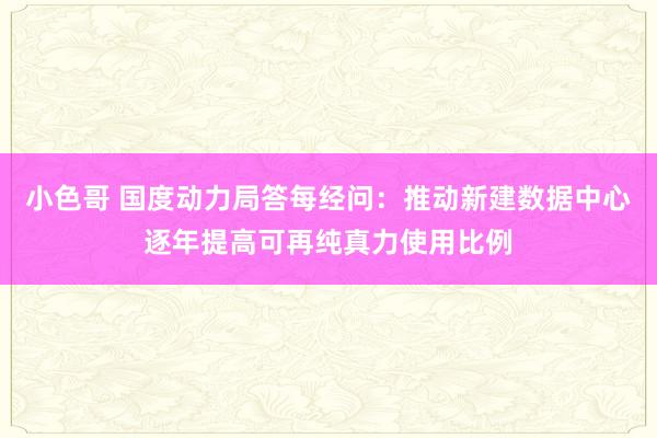 小色哥 国度动力局答每经问：推动新建数据中心逐年提高可再纯真力使用比例