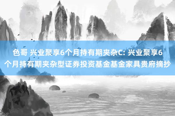 色哥 兴业聚享6个月持有期夹杂C: 兴业聚享6个月持有期夹杂型证券投资基金基金家具贵府摘抄