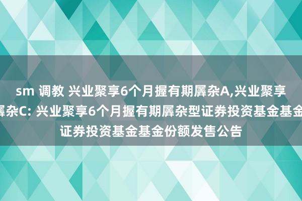 sm 调教 兴业聚享6个月握有期羼杂A，兴业聚享6个月握有期羼杂C: 兴业聚享6个月握有期羼杂型证券投资基金基金份额发售公告