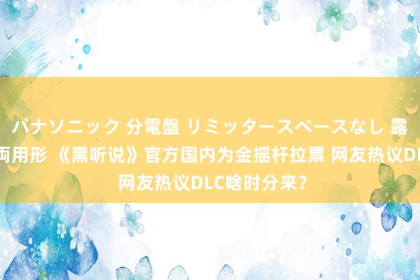 パナソニック 分電盤 リミッタースペースなし 露出・半埋込両用形 《黑听说》官方国内为金摇杆拉票 网友热议DLC啥时分来？