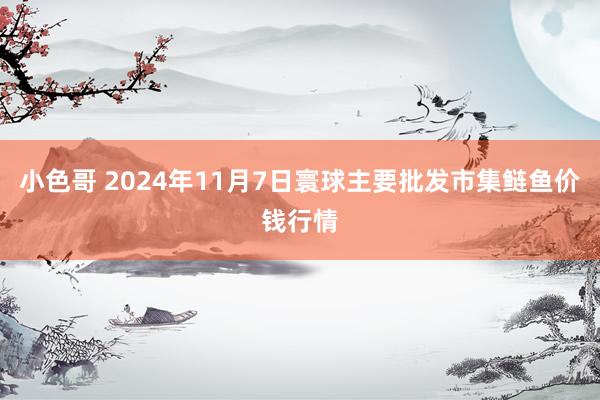 小色哥 2024年11月7日寰球主要批发市集鲢鱼价钱行情