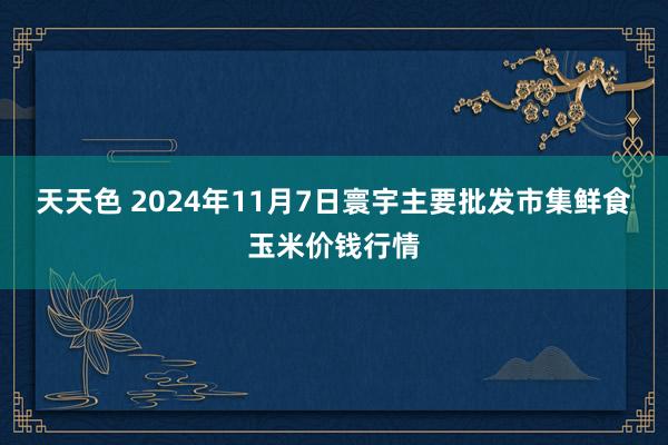 天天色 2024年11月7日寰宇主要批发市集鲜食玉米价钱行情