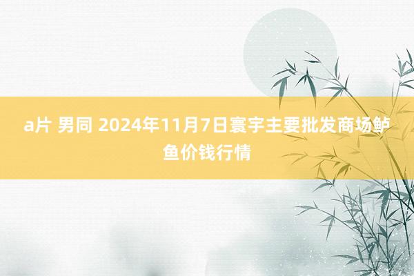 a片 男同 2024年11月7日寰宇主要批发商场鲈鱼价钱行情