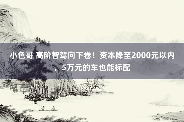 小色哥 高阶智驾向下卷！资本降至2000元以内，5万元的车也能标配