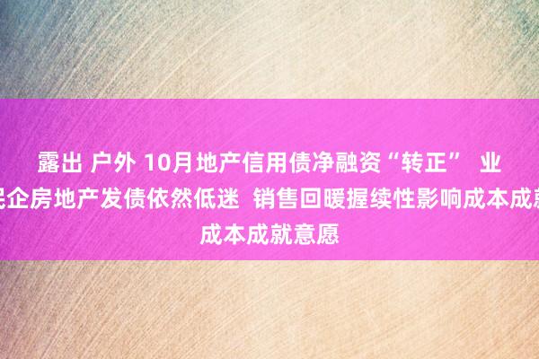 露出 户外 10月地产信用债净融资“转正”  业内：民企房地产发债依然低迷  销售回暖握续性影响成本成就意愿